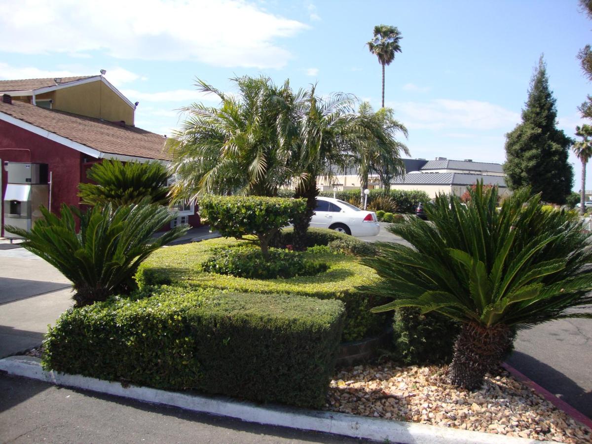 Oasis Inn Sacramento- Elk Grove — photo 6