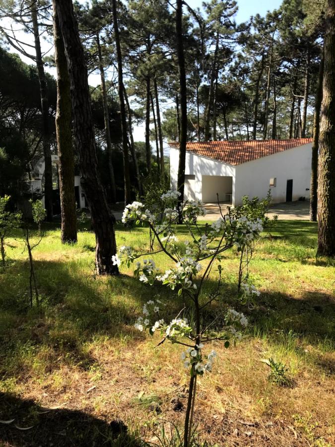 Villa Colares, Sintra – Preços 2022 atualizados