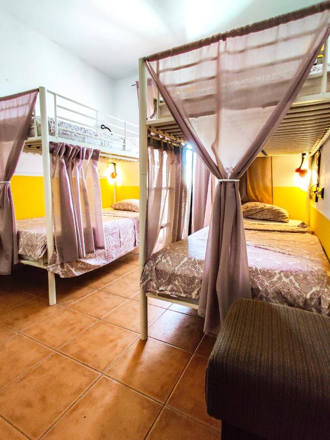 Sol a Sol Hostel - 2