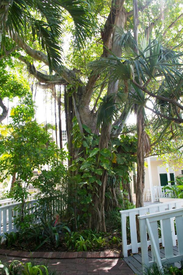Duval House - Adult Only — photo 11