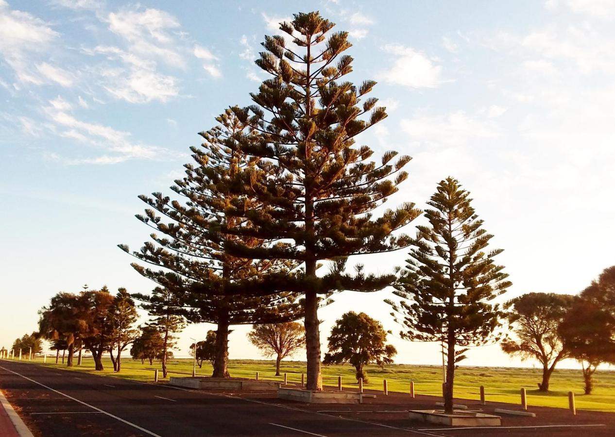 Beach: Lacepede Bay Motel