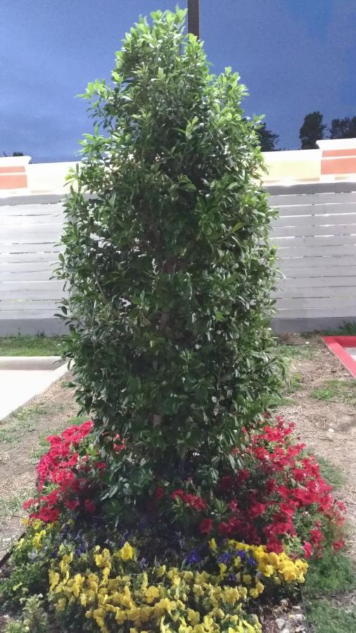 Haven Inn & Suites Downtown Houston — photo 20