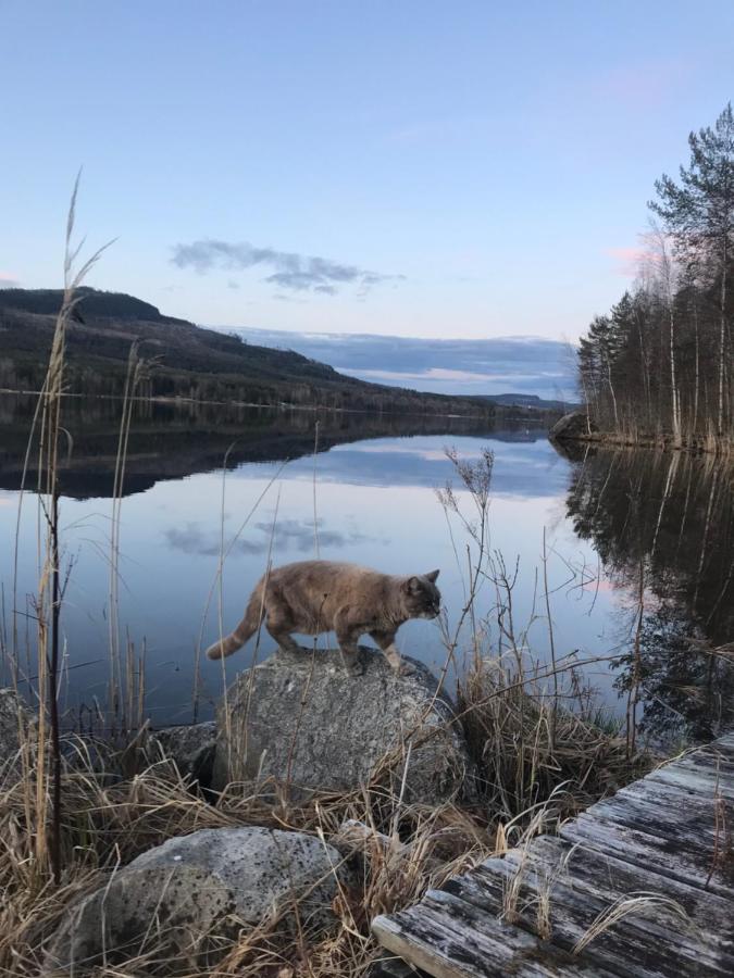 bilder av damer fra norrtälje sundsvall single damer
