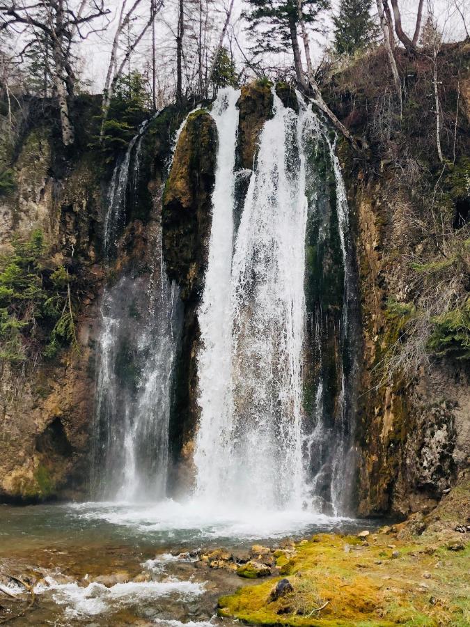 Spearfish Canyon Lodge — photo 16