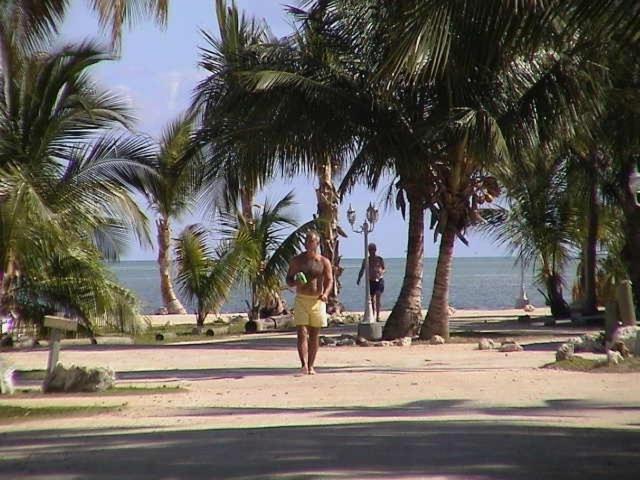 Coconut Cove Resort & Marina — photo 23