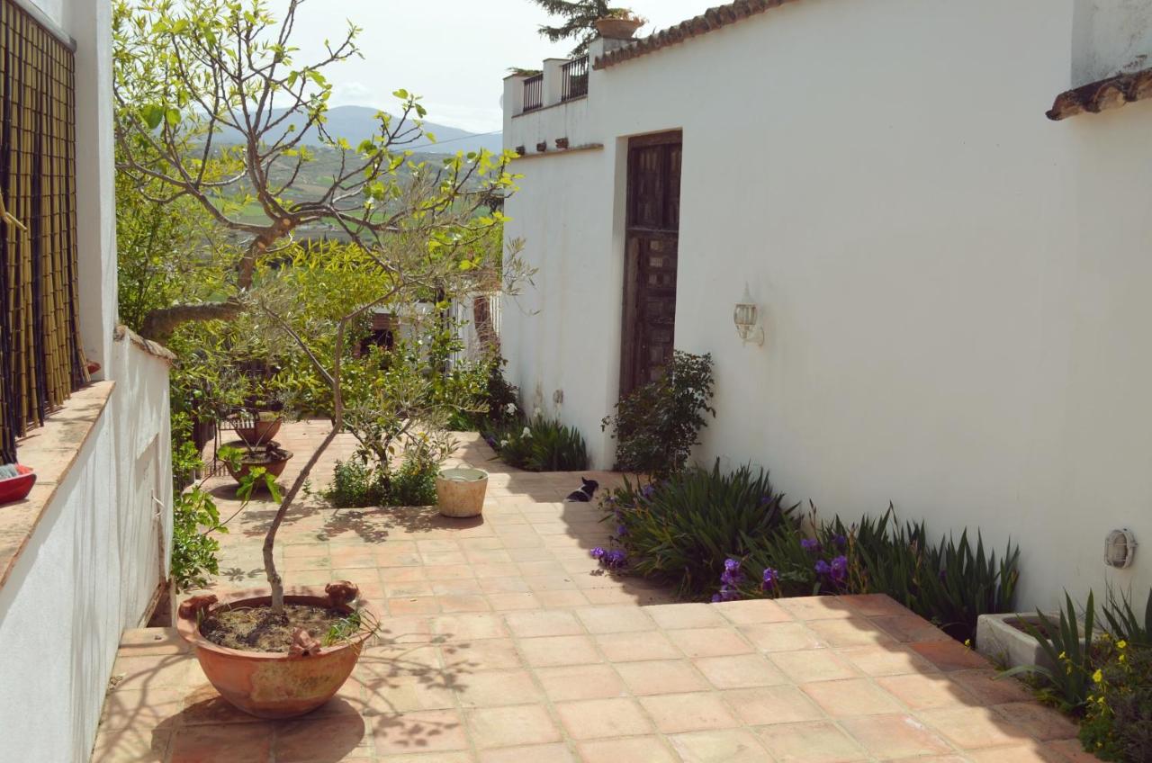 Villa The White Olive (Spanje Ronda) - Booking.com