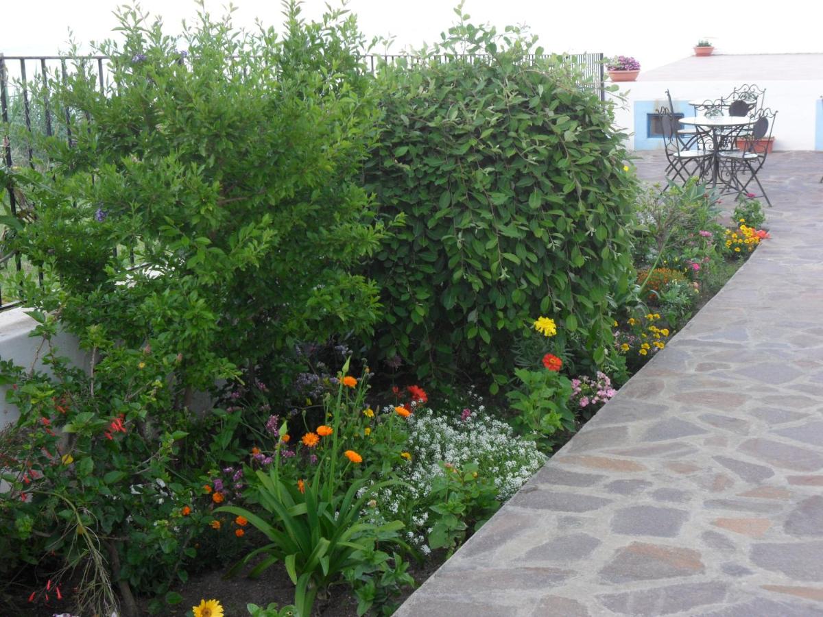 Hotel Punta Barone photo