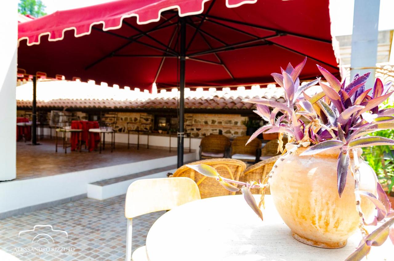 cum mi-am restaurat cartea de vedere de ce se pierde vederea câteva minute