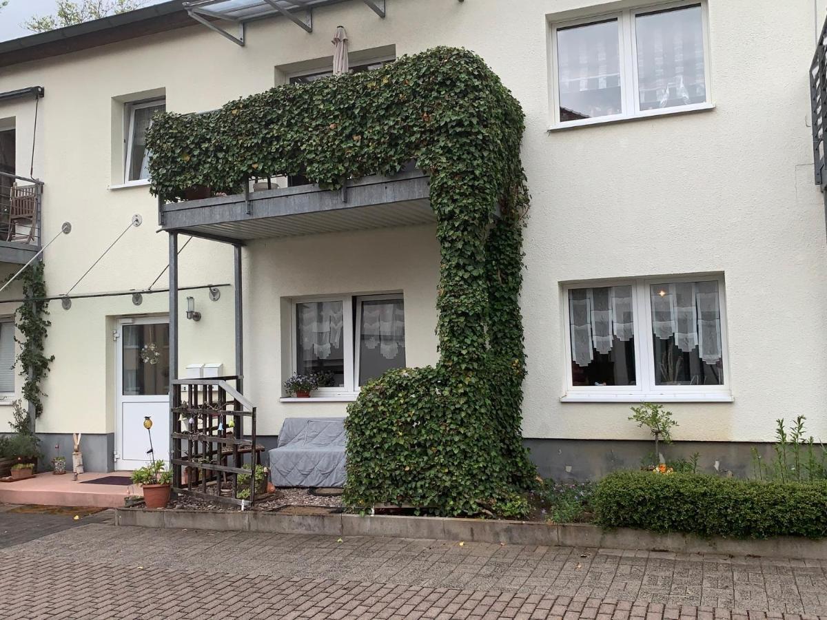 Фото Ferienwohnung Am Stadtpark