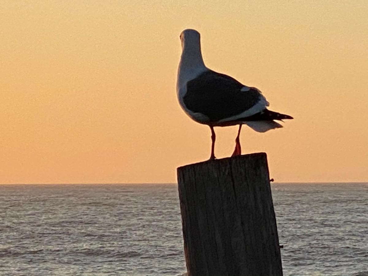 Sea Breeze Motel — photo 18