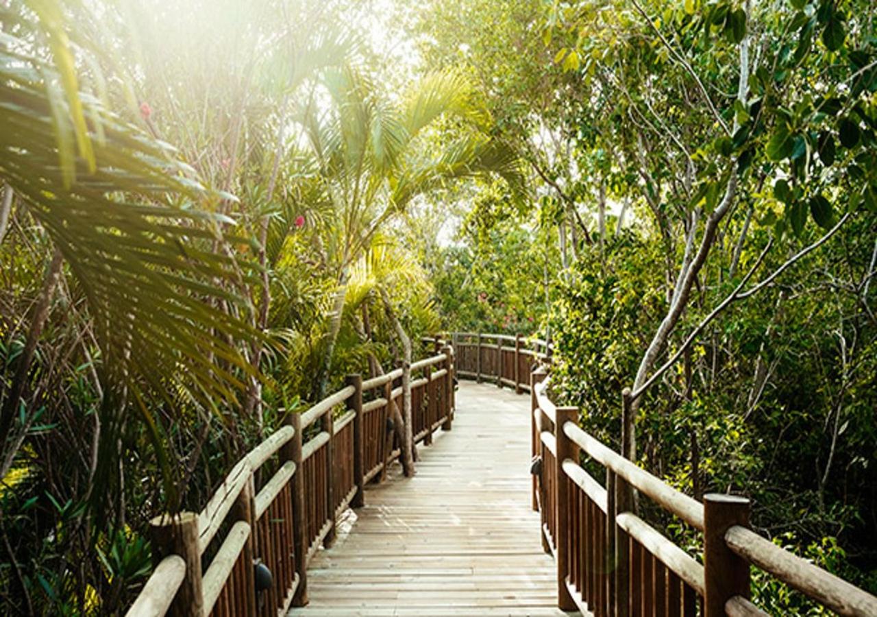 Vidanta Riviera Maya photo