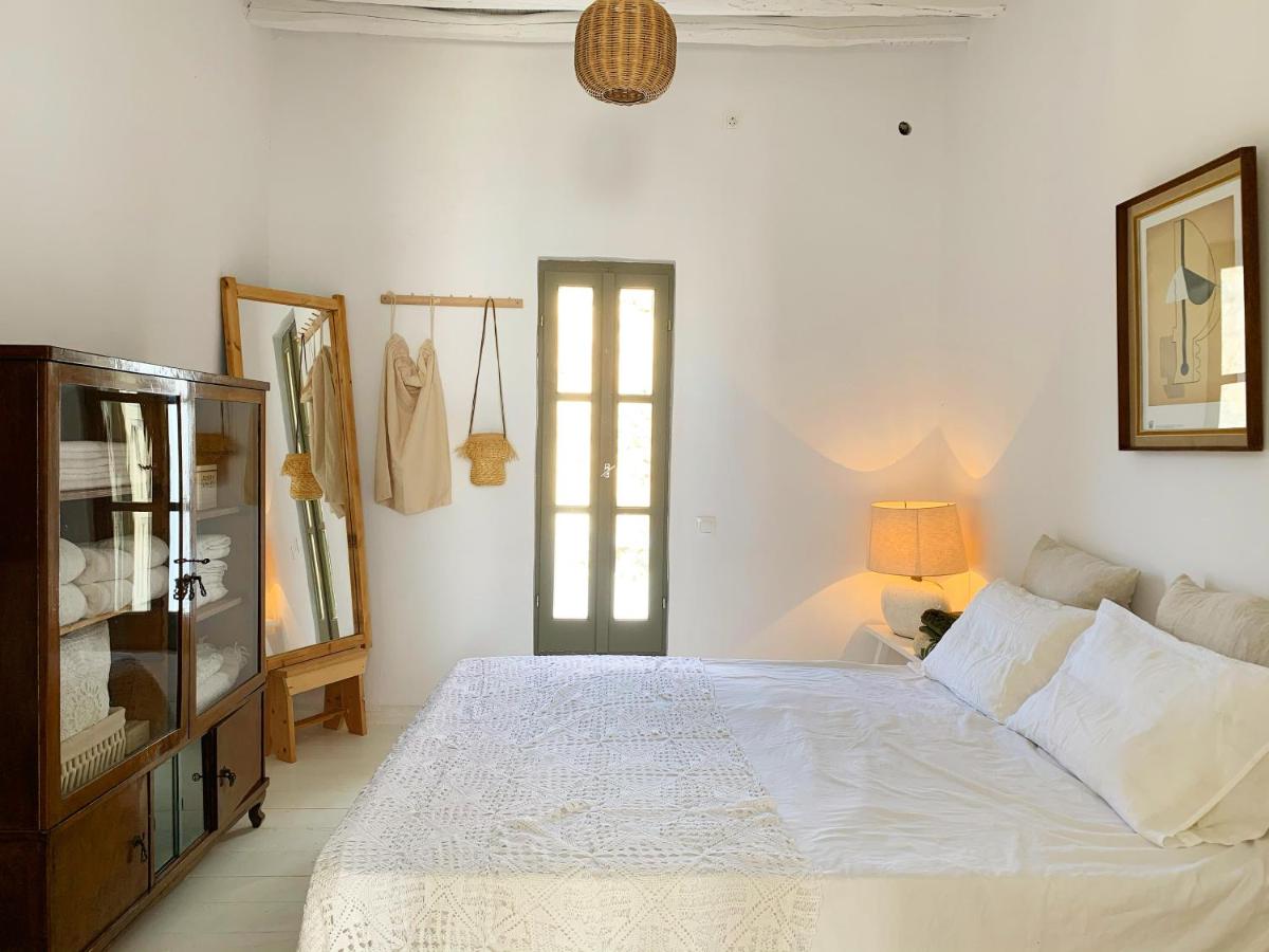 Serifos Olive — photo 2