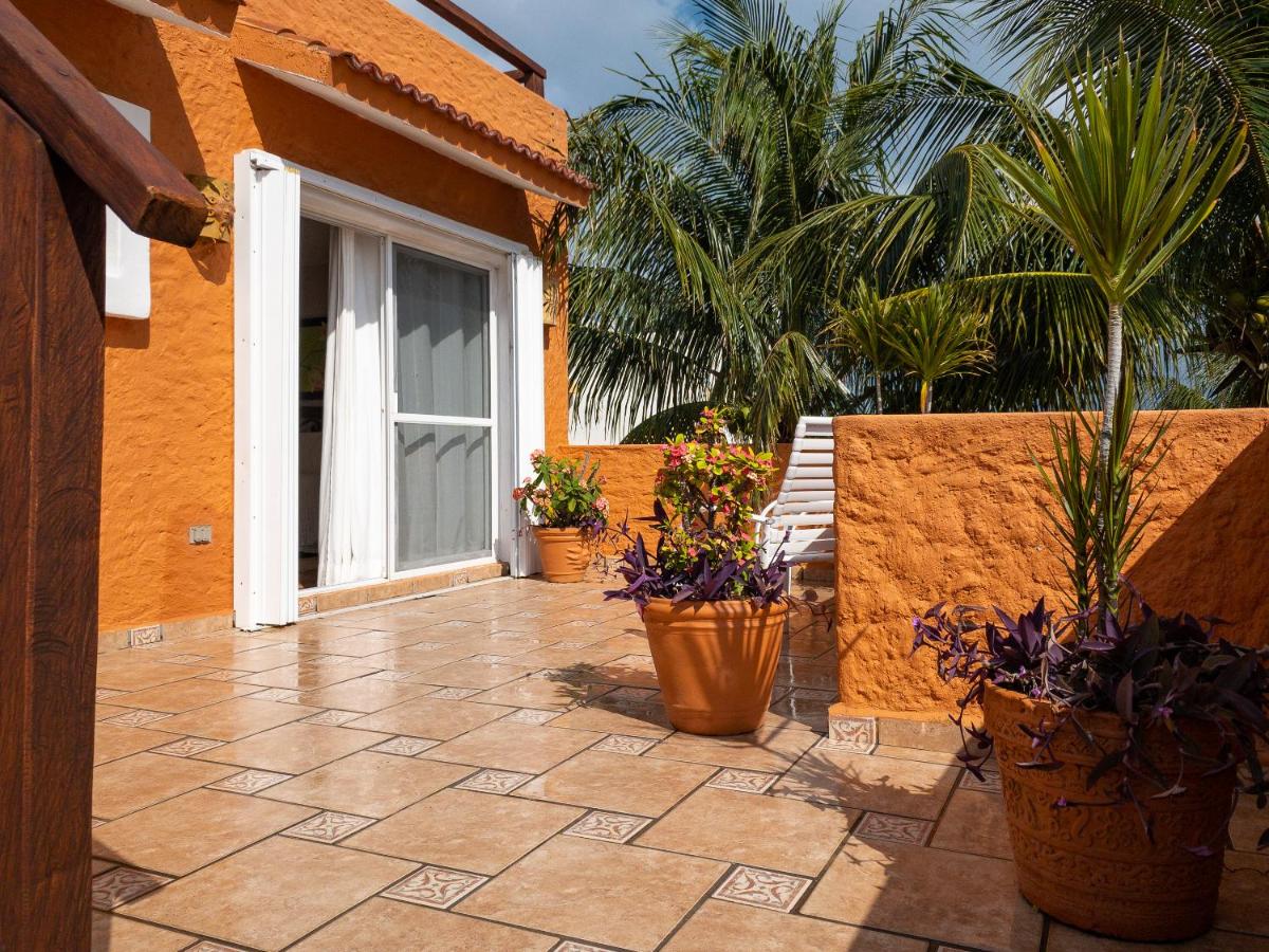 Casa Mulder photo