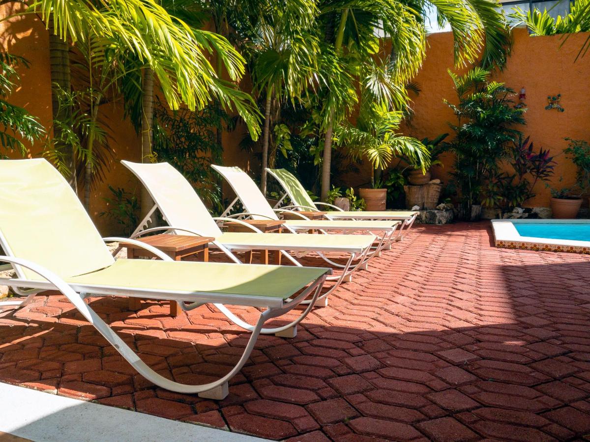 Casa Mulder photo