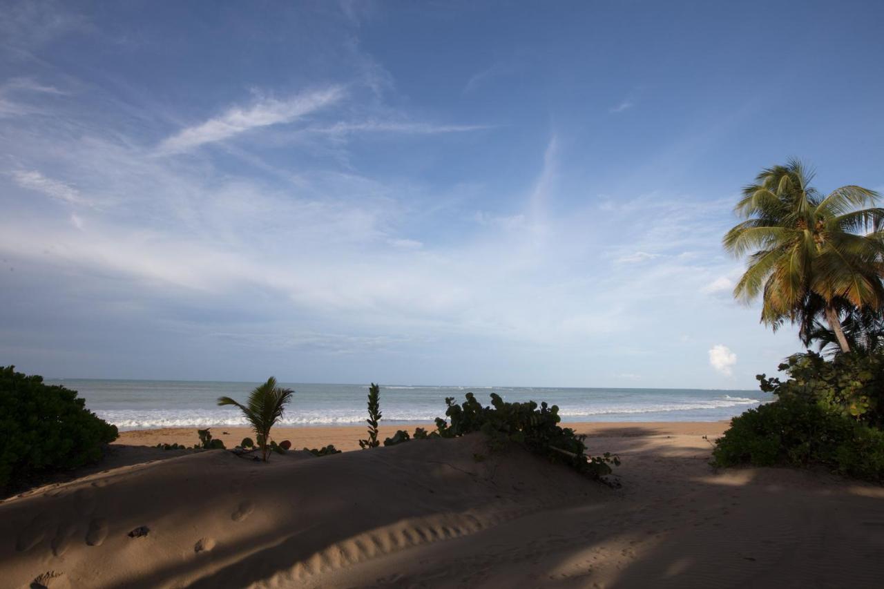 Wyndham Grand Rio Mar Puerto Rico Golf Beach Resort Rio Grande Updated 21 Prices