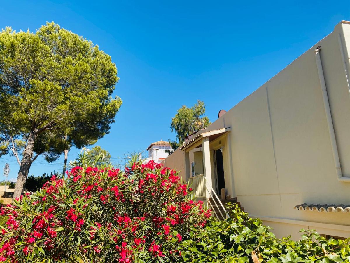 Hostal Villa Senese - 3