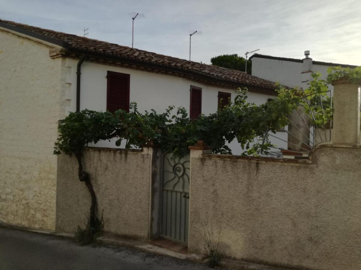 B&B Capo Le Vigne photo