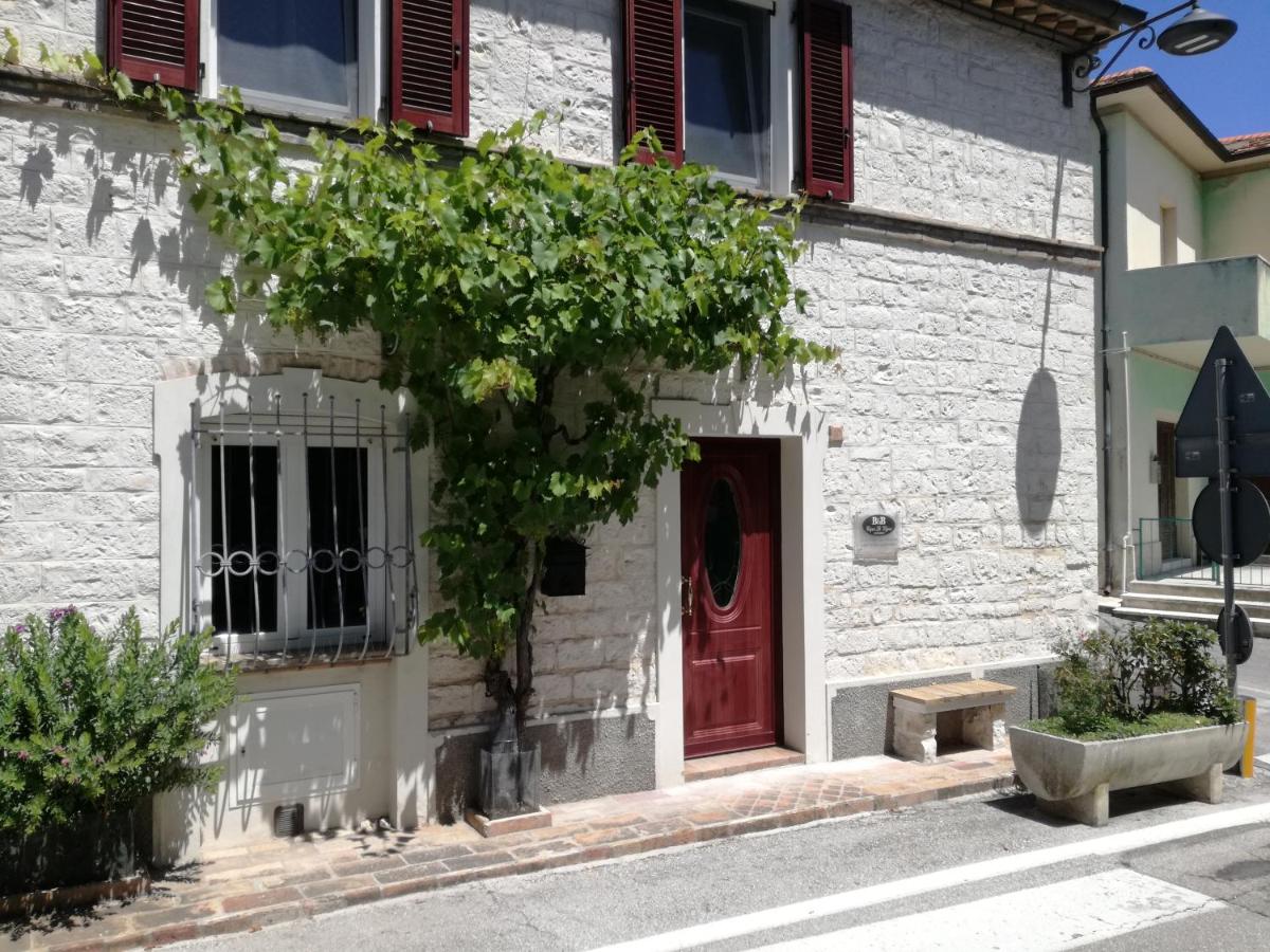 B&B Capo Le Vigne photo