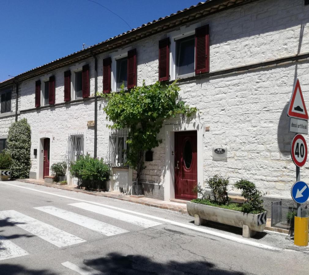 B&B Capo Le Vigne photo