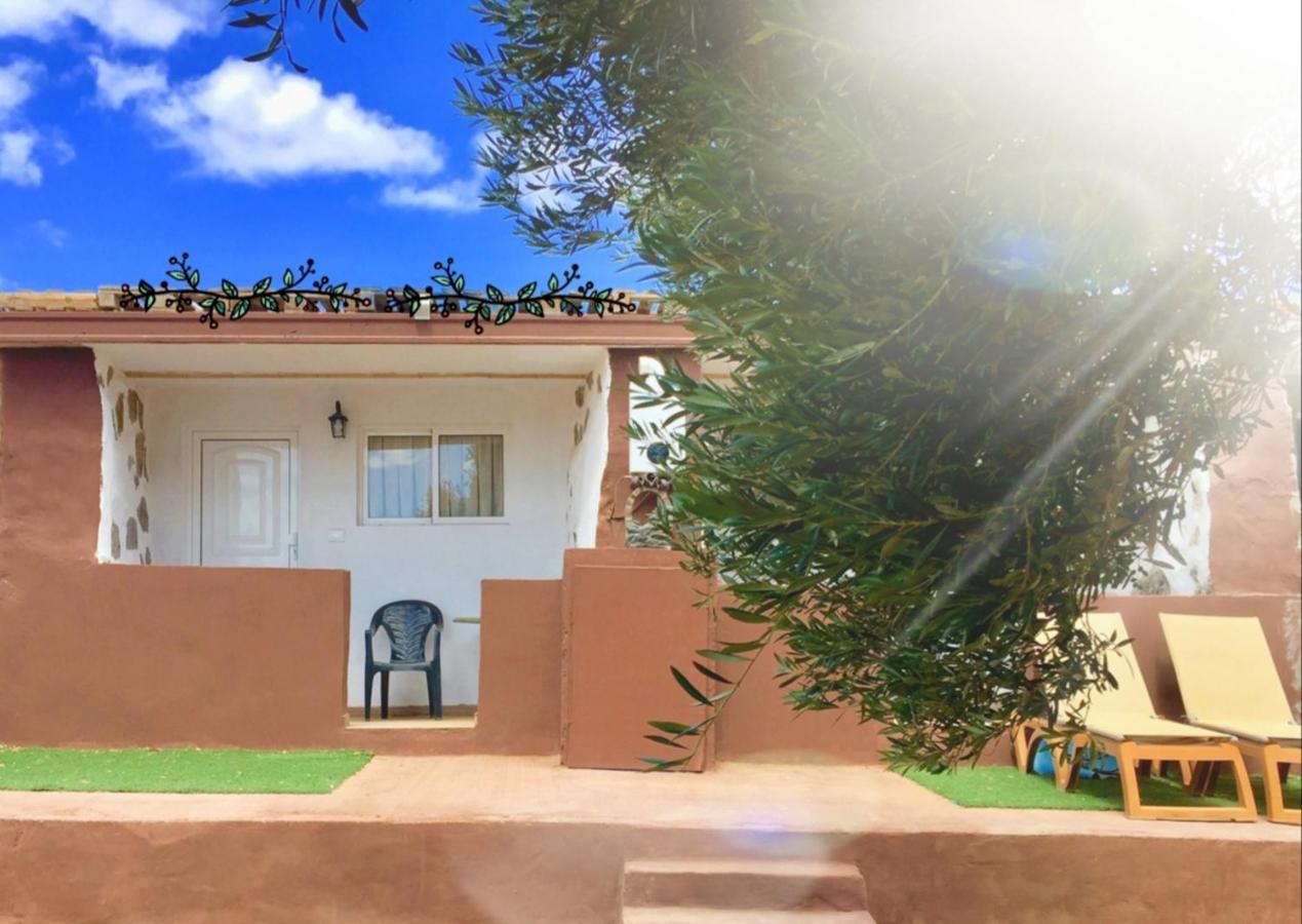 Elysium #Casa La Fuentita, Olivos & Naturaleza