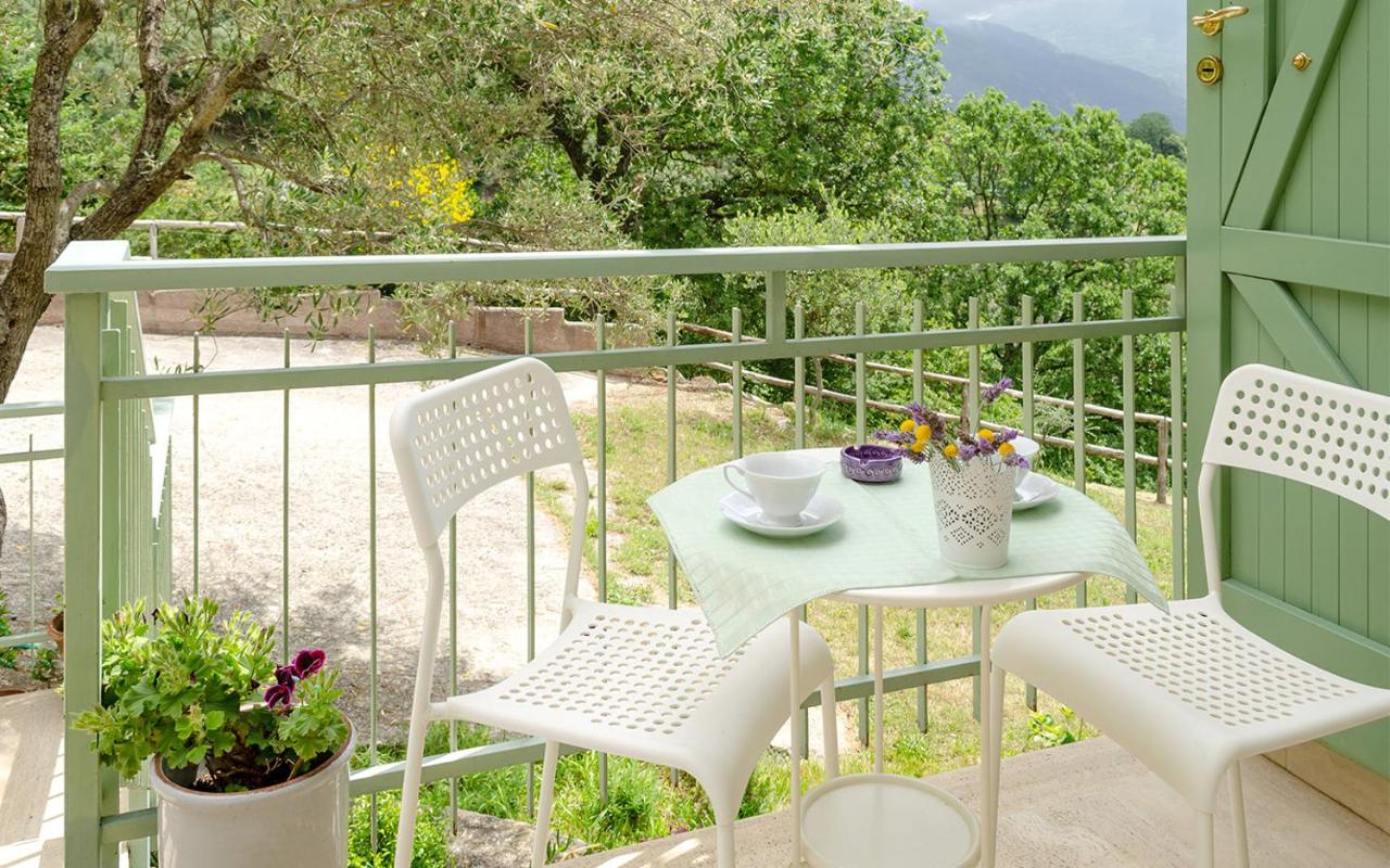 Driùs edodè - b&b affittacamere photo