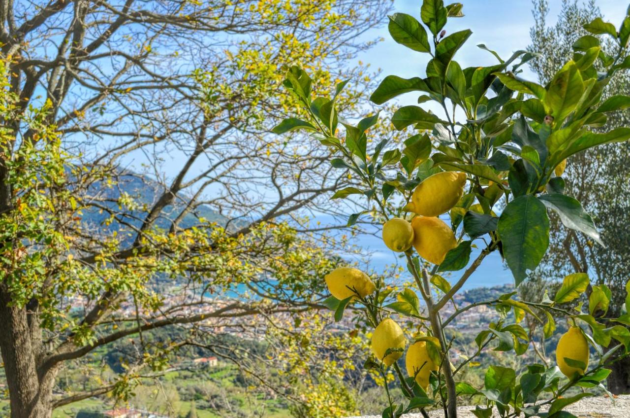 Driùs edodè - b&b affittacamere photo