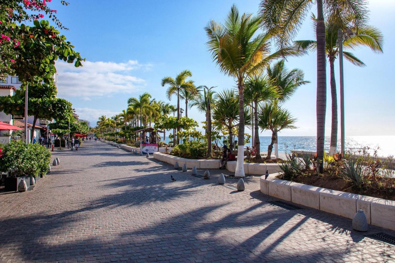 Modern Loft Style 1 Bedroom W Private Dipping Pool Malecon Downtown Puerto Vallarta Puerto Vallarta Updated 21 Prices