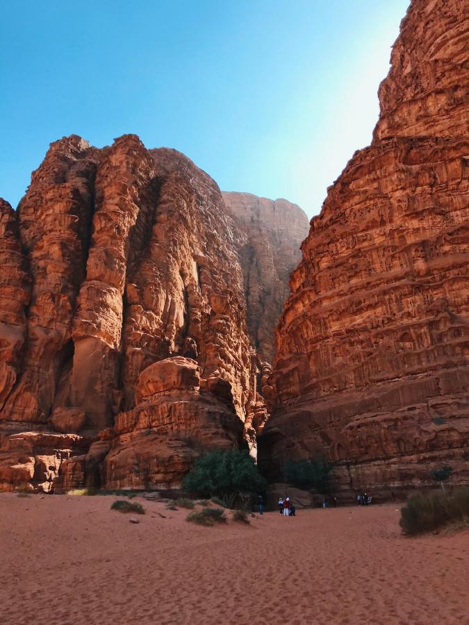 Desert Rose Camp, Wadi Rum – Updated 2022 Prices