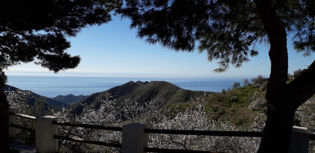 Apartamento Casa Pimienta (España Polopos) - Booking.com