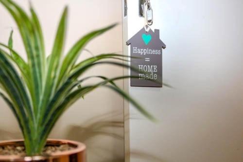 Authentic Newlands - 5