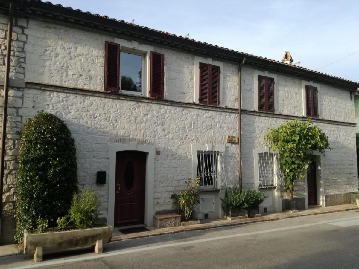 B&B Capo Le Vigne photo