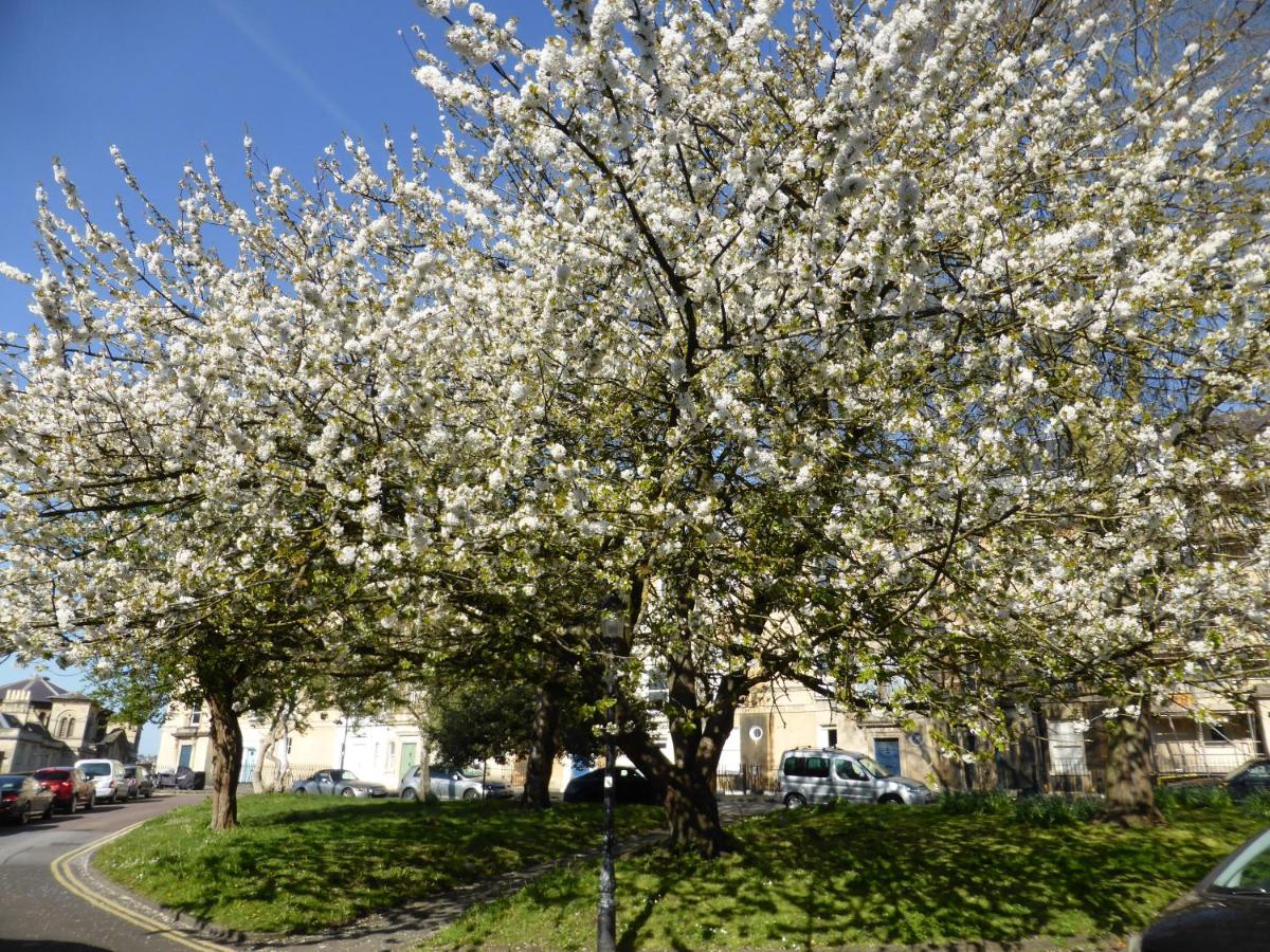 Central Georgian Garden Flat with Free Parking - 4