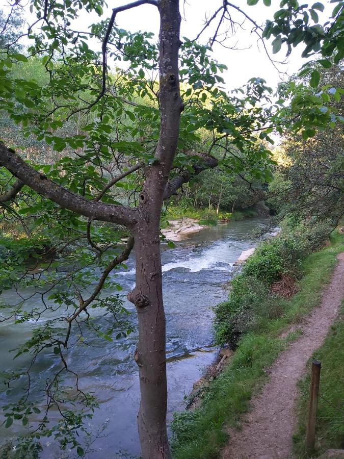 Bonita cabaña de los arboles en La Rioja , Durmiendo entre ...