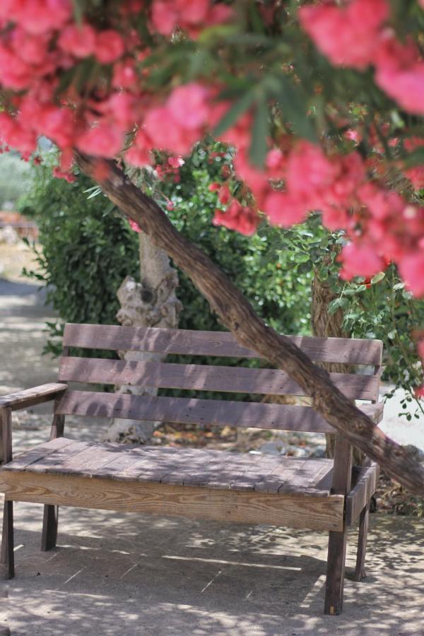 The Ranch - Lodge & Equestrian Center photo