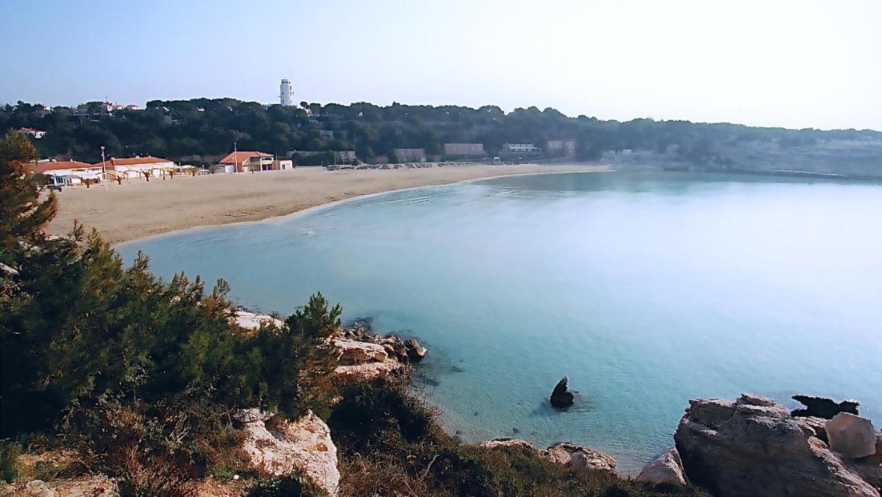 Appartements Et Chambres Des Joncas Martigues Updated 2021 Prices