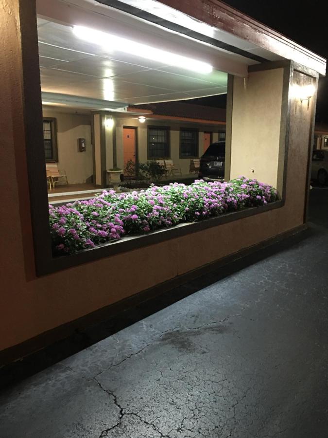 Palms Motel — photo 15