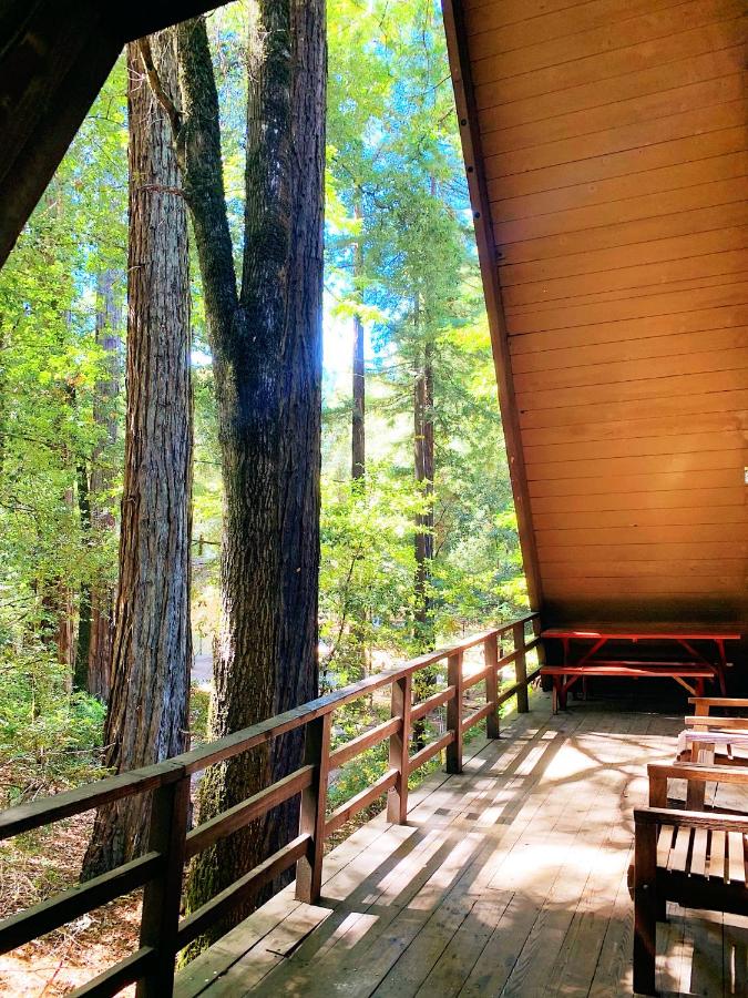 Redwoods River Resort & Campground — photo 24