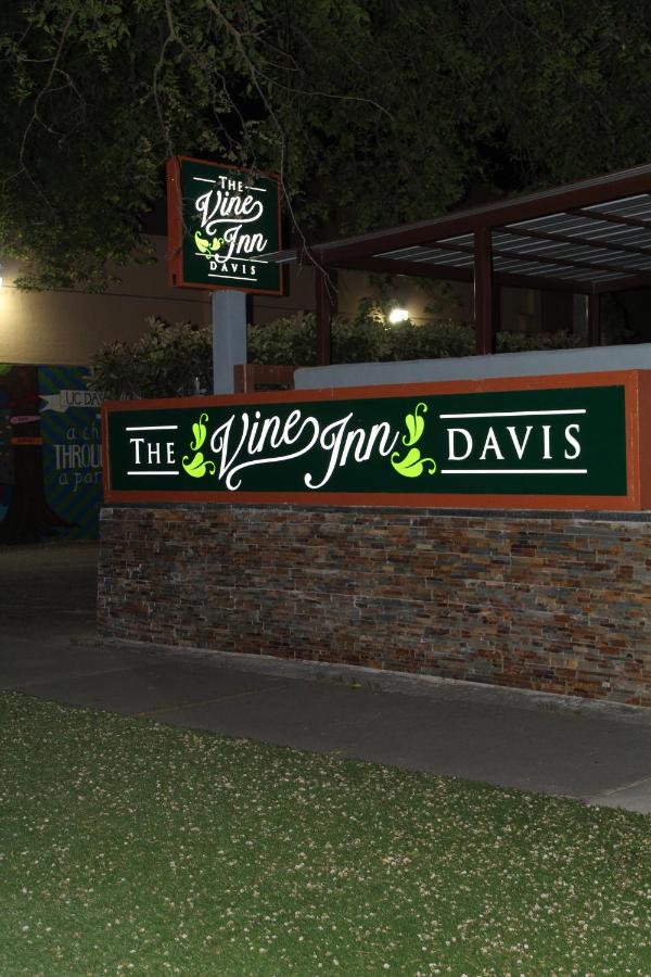 The Vine Inn Davis — photo 11
