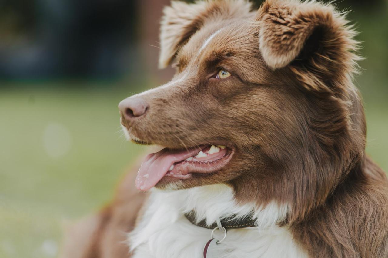 Pferdeidylle direkt neben Berlin in Dallgow - 2