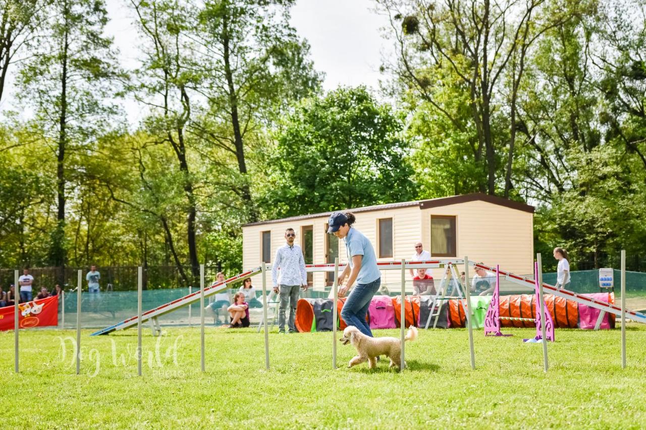Camp Košice | Route E58, Barca