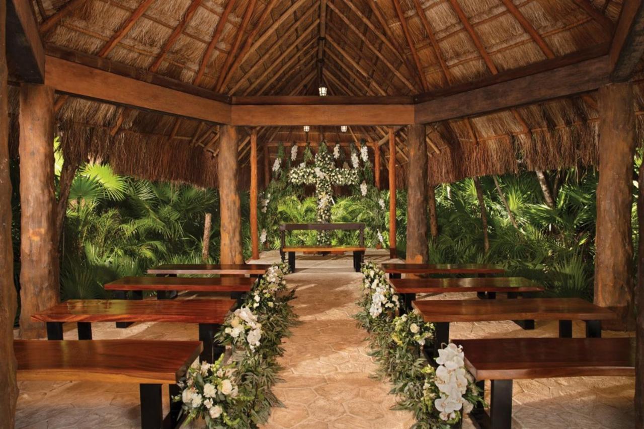 Dreams Sapphire Resort & Spa photo