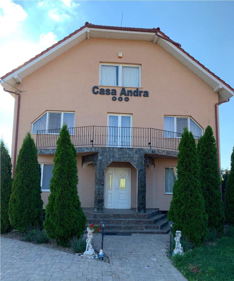 Hostel Casa Andra, Satu Mare, Romania - Booking.com