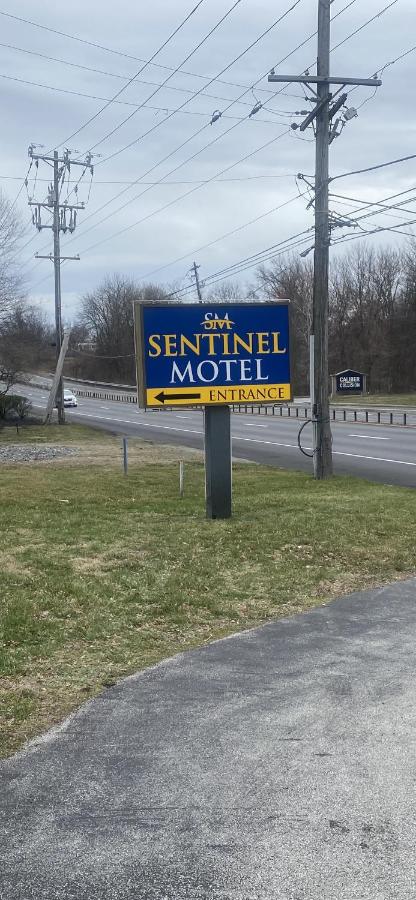 Sentinel Motel — photo 12