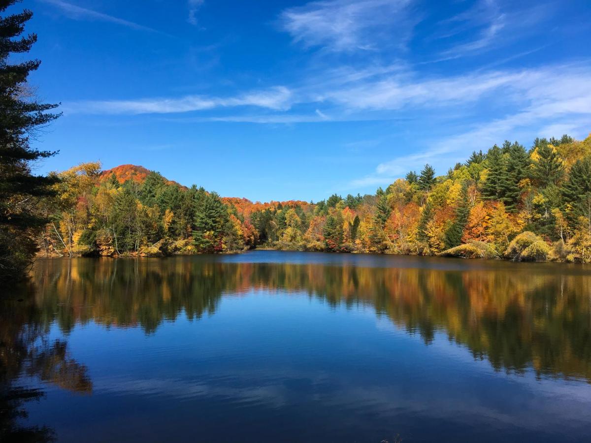 Mountain Meadows Lodge — photo 9