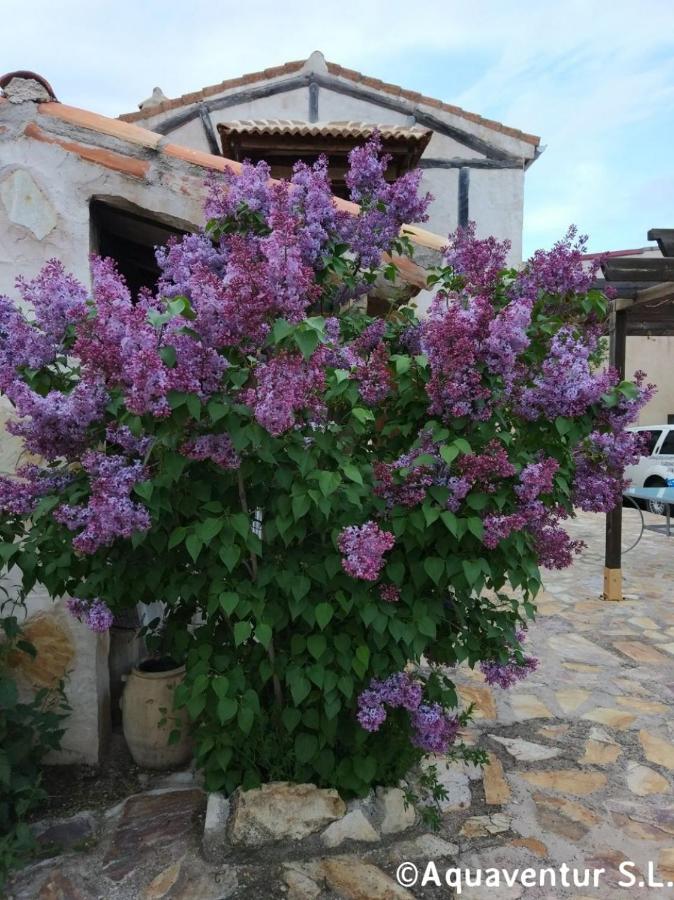Casa de los piragüistas, Taravilla – Updated 2021 Prices