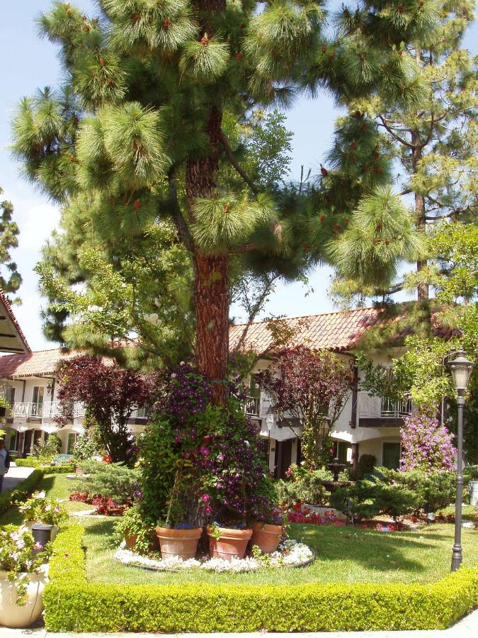 Laguna Hills Lodge-Irvine Spectrum — photo 11