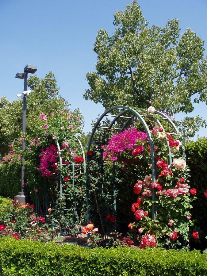 Laguna Hills Lodge-Irvine Spectrum — photo 14