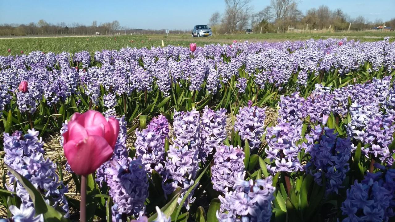 Rembrandt Square Boat - 4