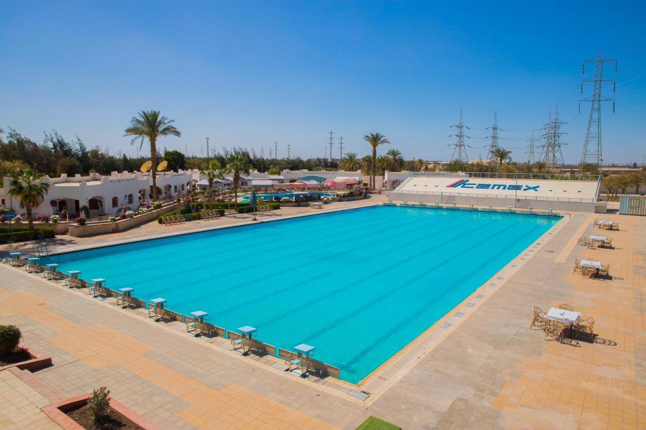 Rooftop swimming pool: Assiut Cement Hotel