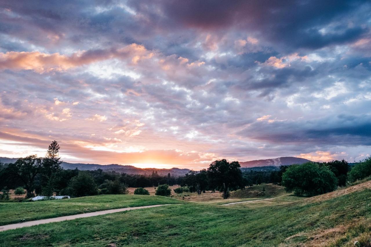 Sierra Meadows — photo 10